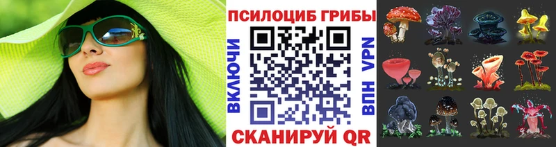 Псилоцибиновые грибы Psilocybine cubensis  omg ТОР  Новосиль 